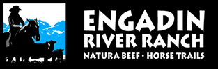 Engadin River Ranche